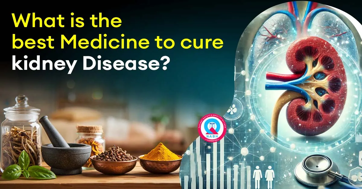 what-is-the-best-medicine-to-cure-kidney-disease